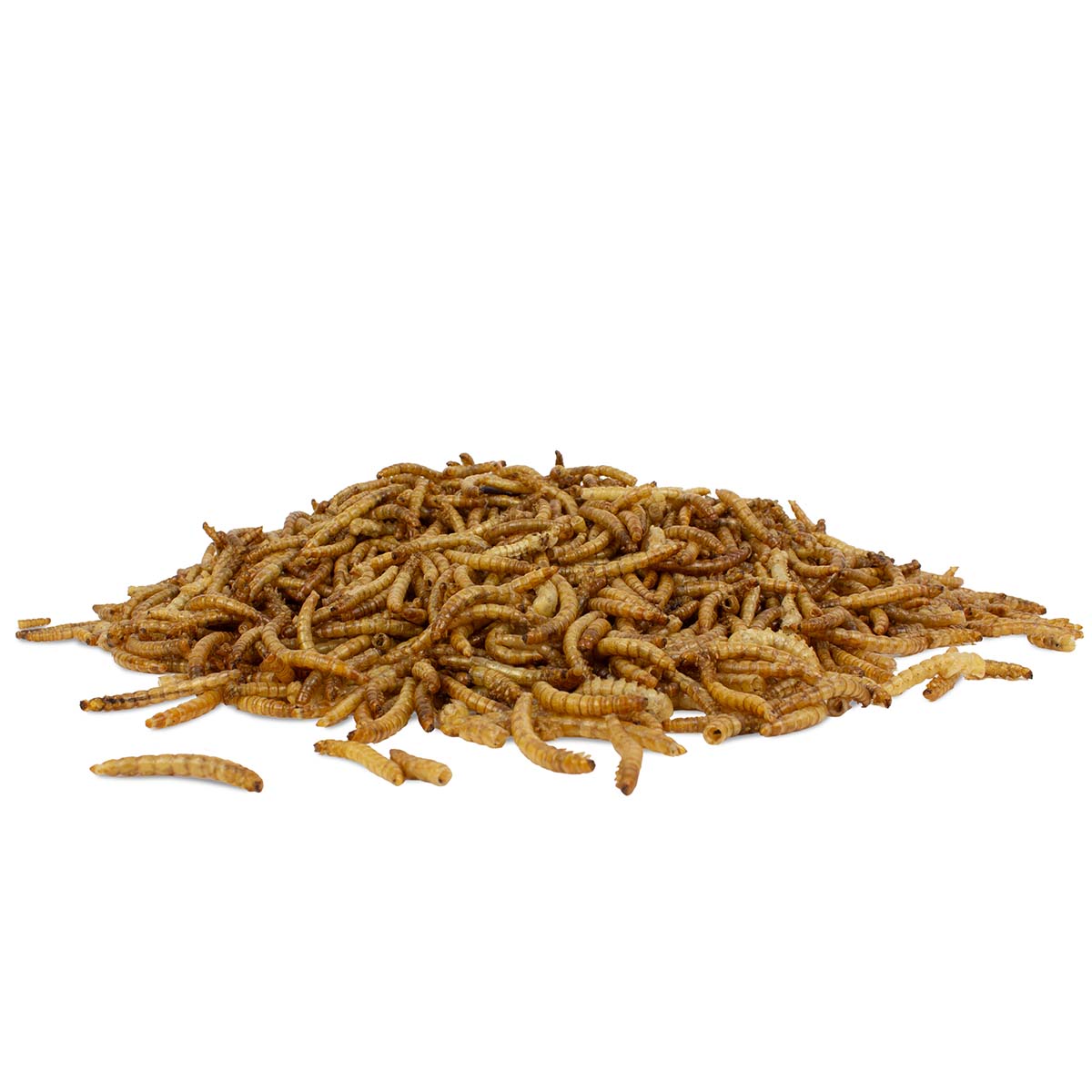 Mehlwürmer getrocknet 1 kg