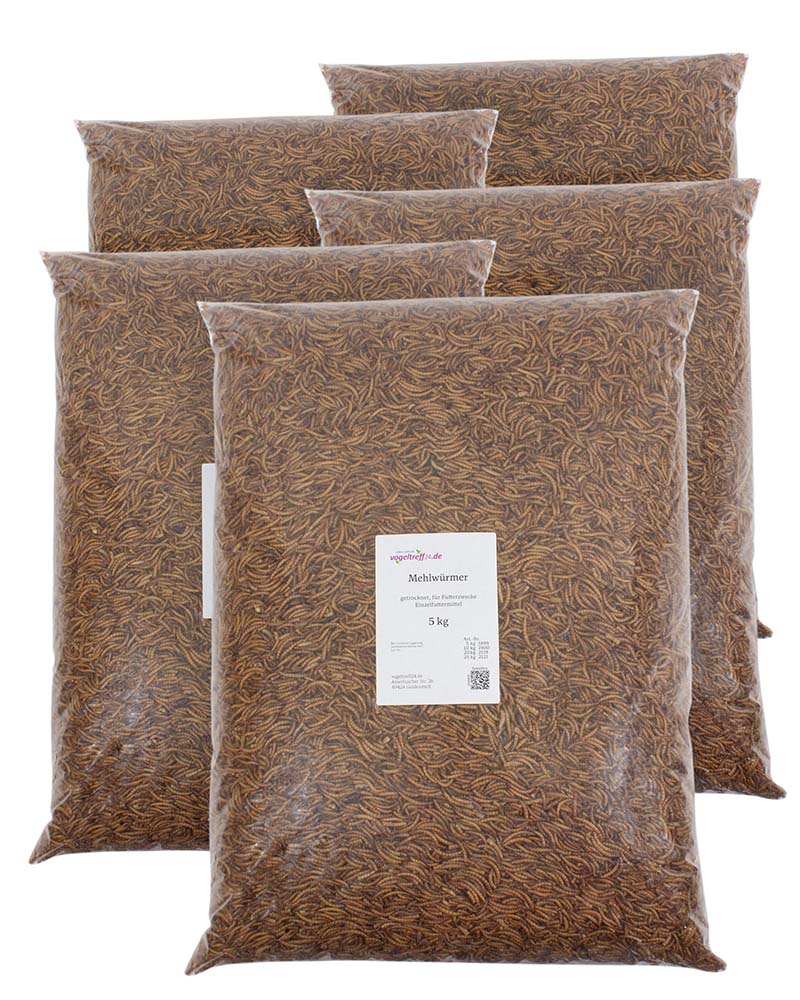 MehlwÃ¼rmer getrocknet - PackungsgrÃ¶Ãe 25 kg