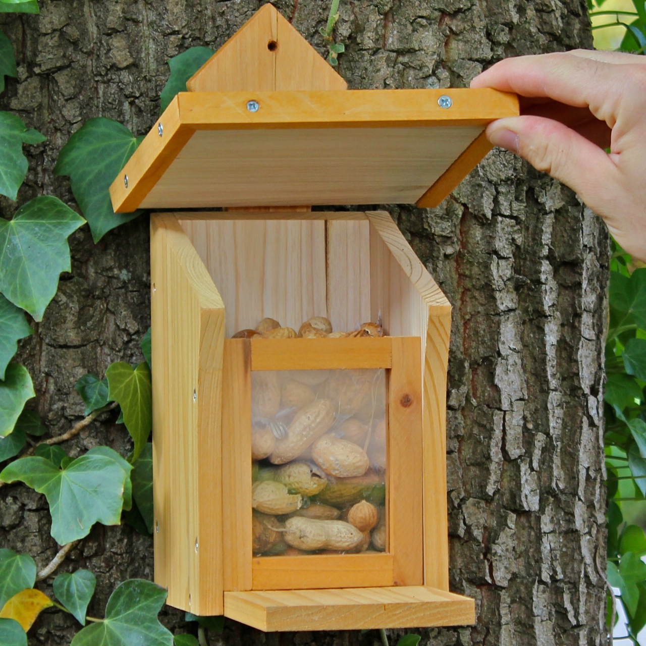Eichhörnchen Nuss-Bar natur BAUSATZ