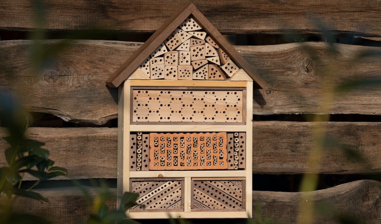 Insektenhotel aufhängen