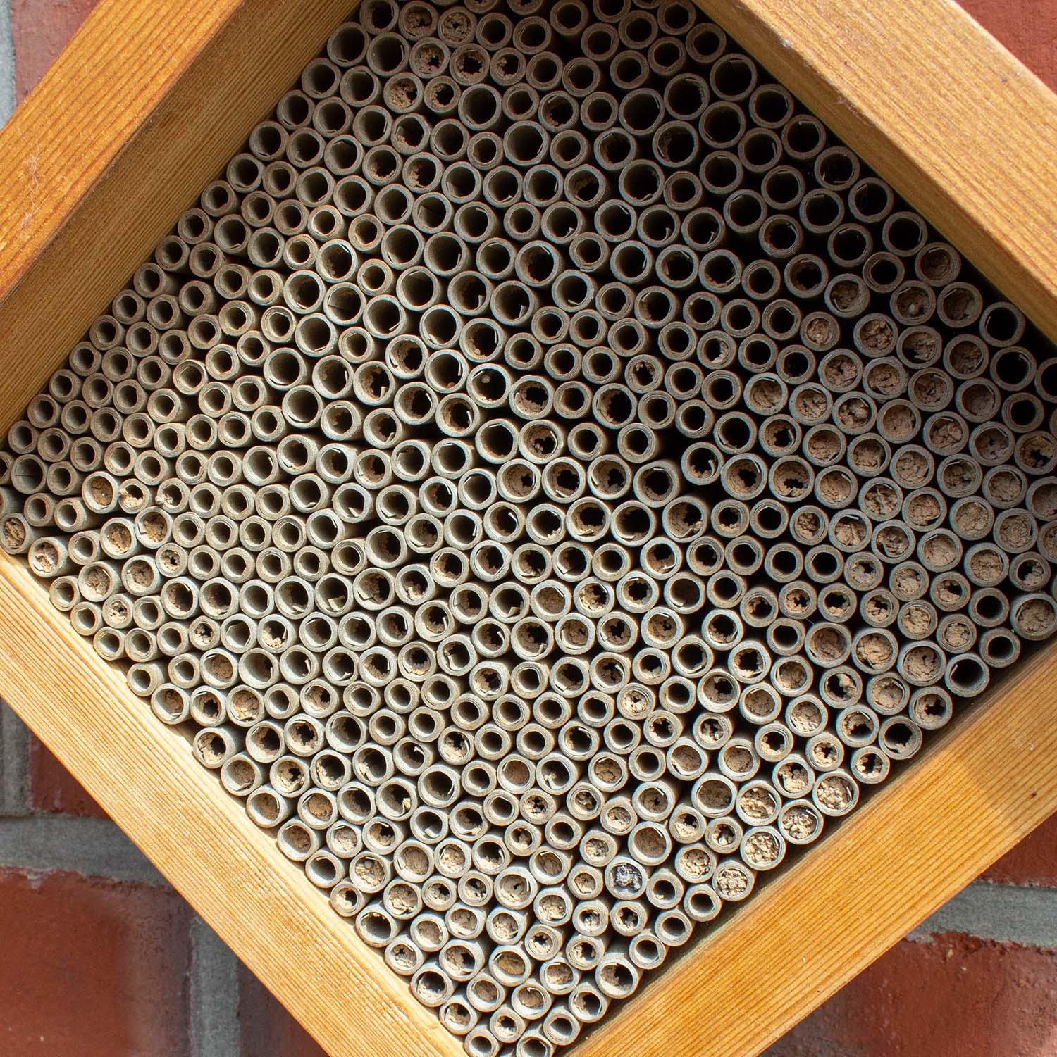 Pappröhrchen für Insektenhotel 9 mm 100 Stück