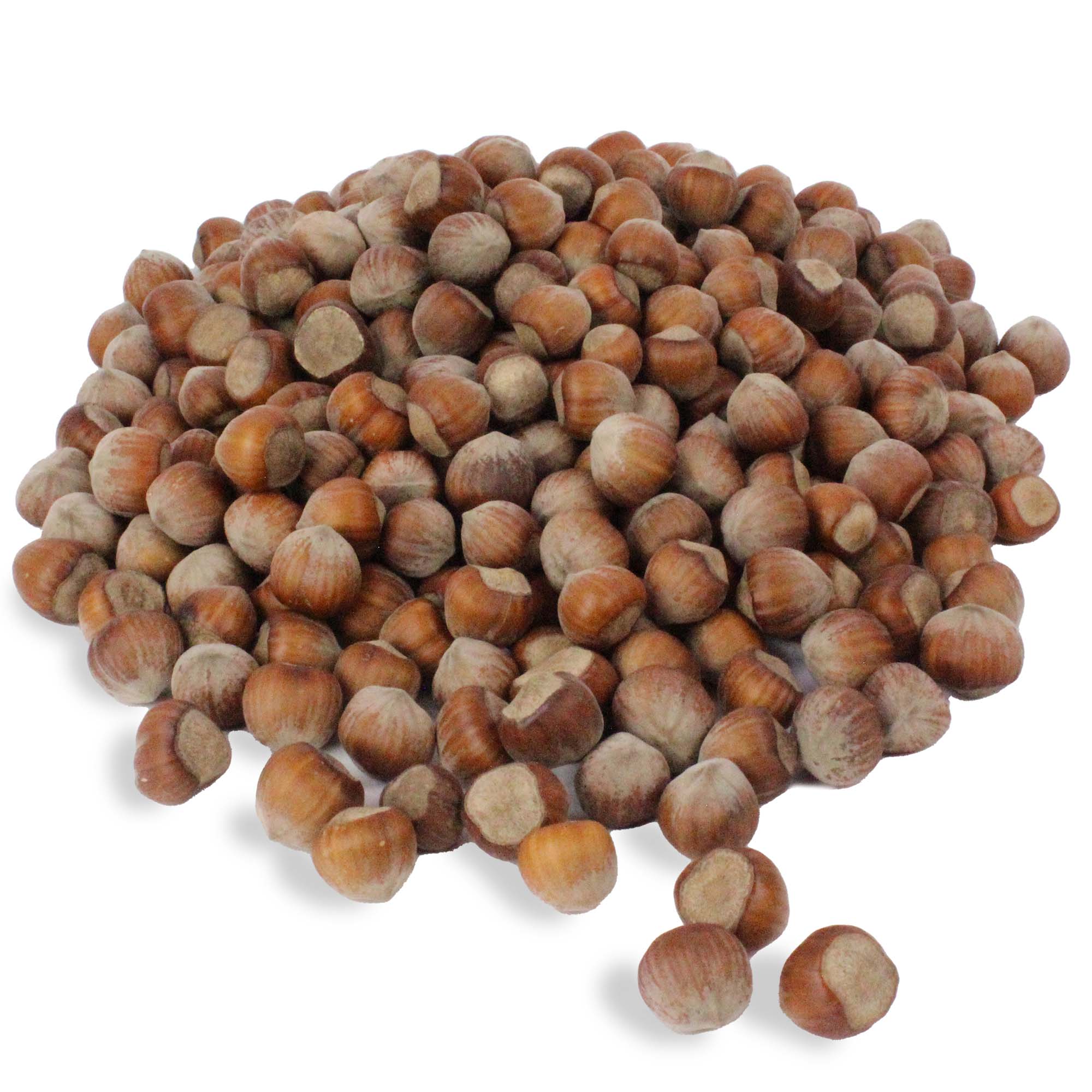 Haselnüsse 1 kg  für Futterzwecke