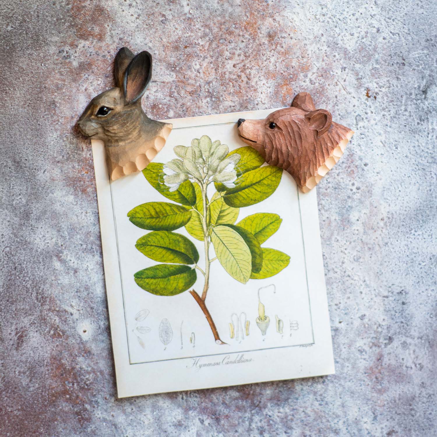 Magnet Braunbär handgeschnitzt