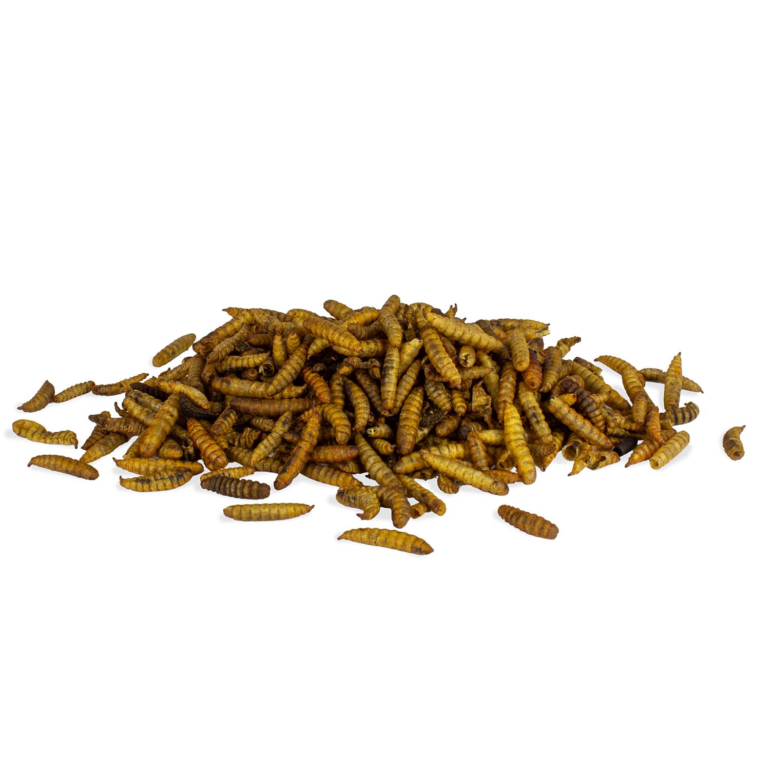 Soldatenfliegenlarven 1 kg